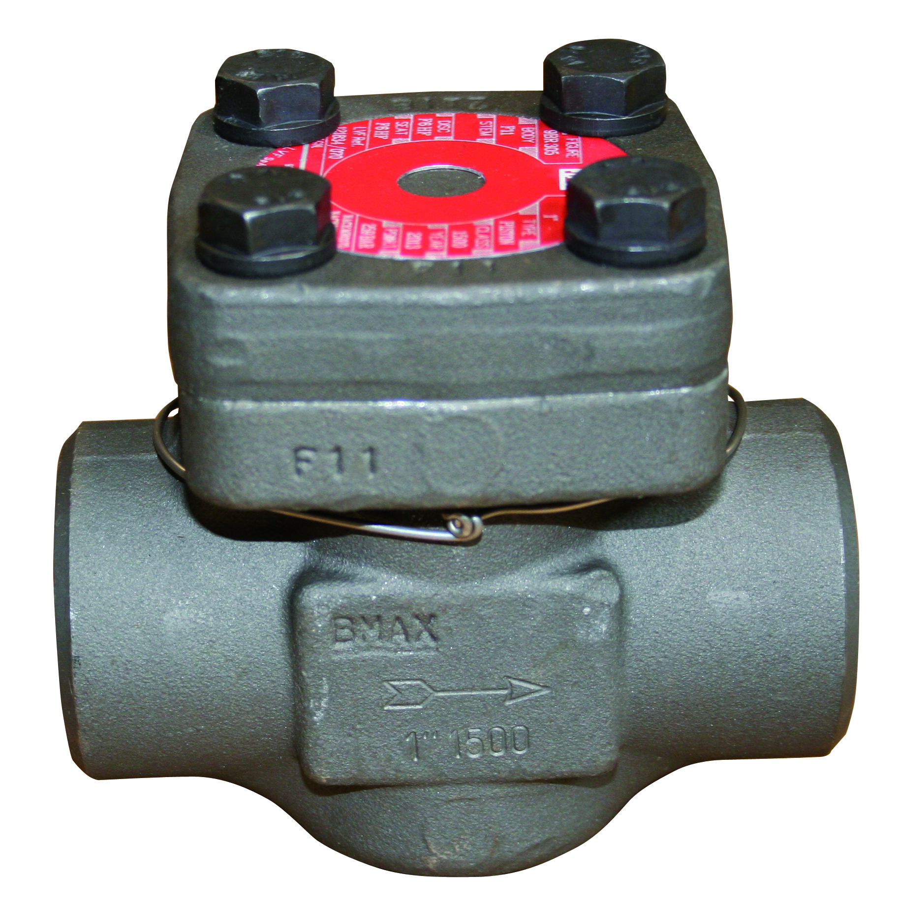 FORGED CHECK VALVE 2